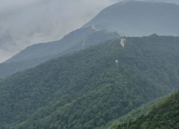 带你领略明星直播中的反差与隐私争议引发热议